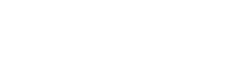 logo Sapristic